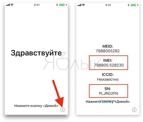 Как найти дату активации своего iPhone