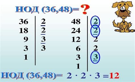 Как найти наибольший общий делитель (НОД)?