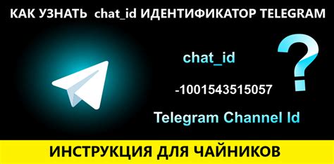 Как найти свой индивидуальный идентификатор в мессенджере Telegram?