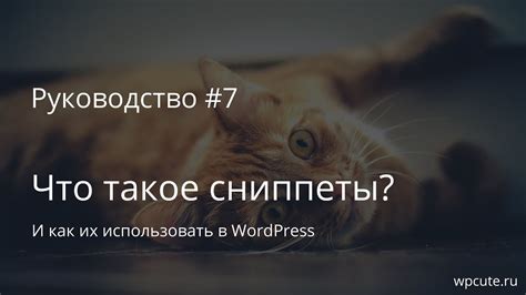 Как обнаружить и активировать эффектные видео-сниппеты на специализированной платформе?