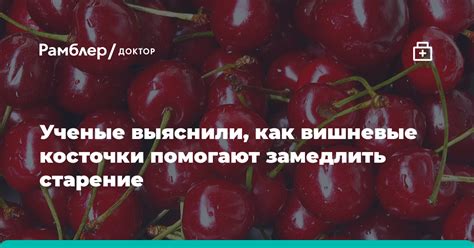 Как обработать вишневые косточки после удаления