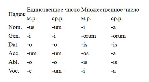 Как определить форму множественного числа прилагательных в латинском языке