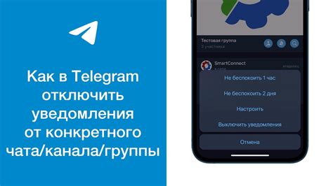 Как отключить специальные уведомления для конкретного чата в Телеграме?