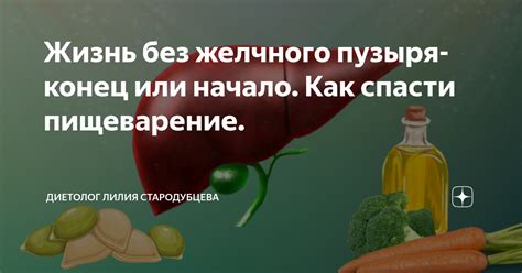 Как пищеварение меняется без желчного пузыря