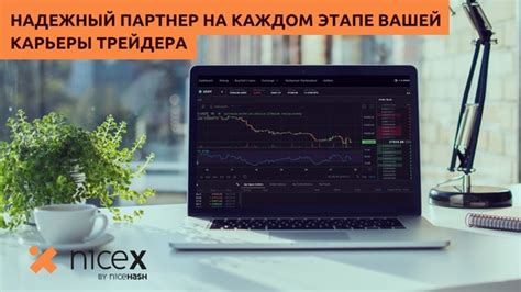 Как подключиться к площадке для торгов на Nicex