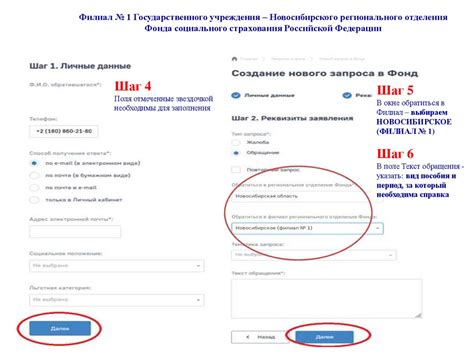 Как получить доступ к информации на РНС Фонда социального страхования