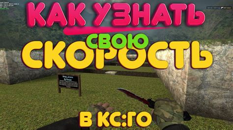 Как получить информацию о скорости отображения в CS:GO через консоль