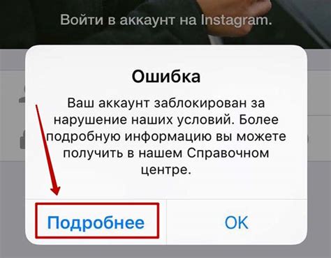 Как пользователь может получить доступ к информации, собираемой ошейником с трекером?