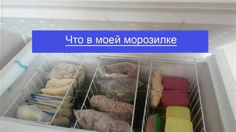 Как правильно подобрать и установить устройство для сохранения холода в морозильной камере