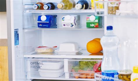 Как предотвратить возникновение протечек в холодильнике в будущем?