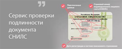 Как преодолеть сложности с подтверждением номера страхового свидетельства в государственных службах