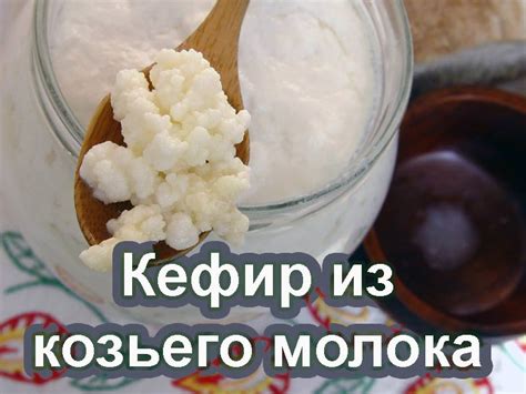 Как приготовить кефир из козьего молока: важный этап - добавление закваски и фермента