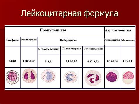 Как разобраться в результатах лейкоцитарной формулы.