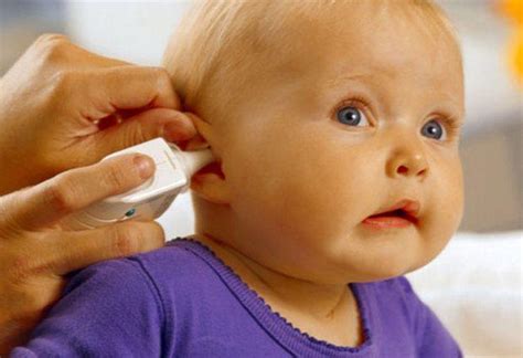 Как распознать, что ваша питомица имеет проблемы со слухом: 5 ключевых индикаторов