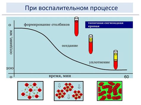 Как реагировать, если у маленького пациента значительно превышен показатель скорости оседания эритроцитов по методу Вестергрена?