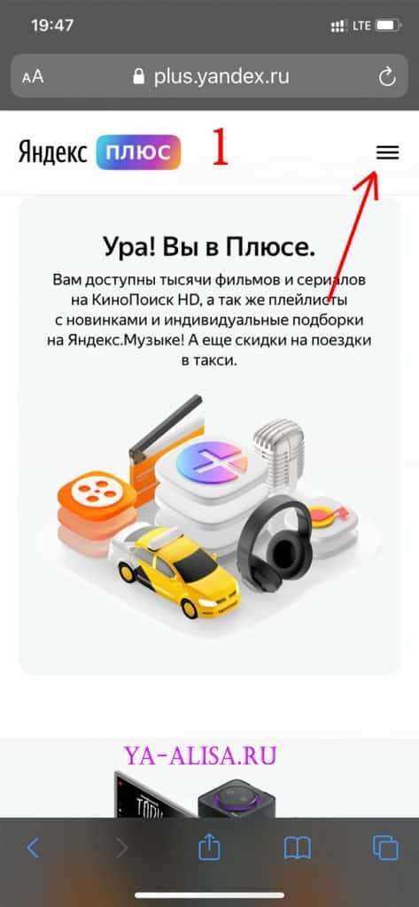 Как убедиться, что на вашем мобильном устройстве присутствует альтернативный браузер от vivo