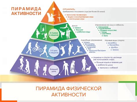 Как физическая активность и приемы повышают уровень концентрации гамма-аминомаслянной кислоты (ГАМК) в мозге