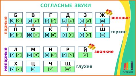 Классификация звонких и глухих согласных по фонетическим характеристикам