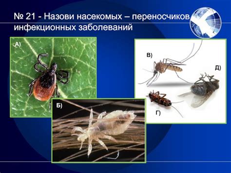 Клещи в роли переносчиков инфекционных заболеваний