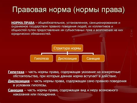 Ключевые составляющие в области трудовых отношений: нормы, права и обязанности сотрудников и работодателей