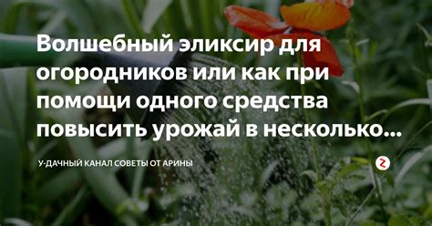 Косметический потенциал эликсира загадочного растения