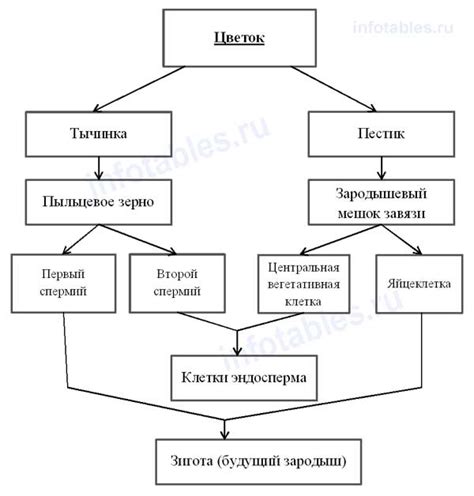 Легендарные создания: способы их приобретения и оплодотворения