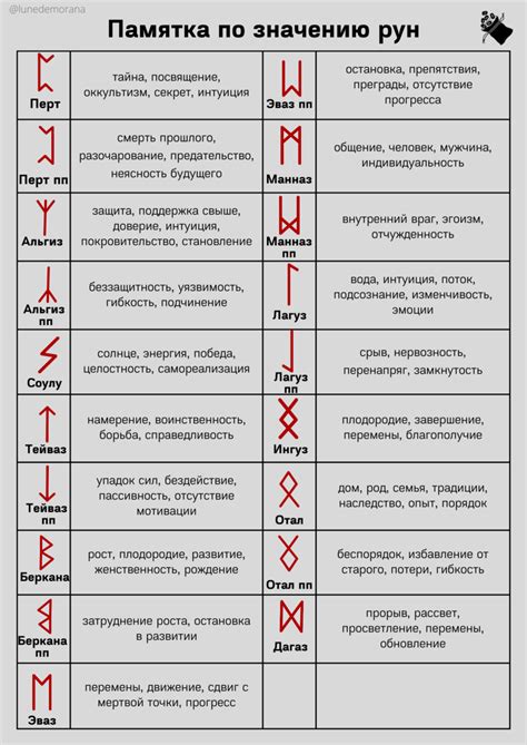 Магическое значение сновидения с чесноком