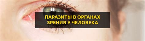 Медицинские причины появления отблесков в глазах