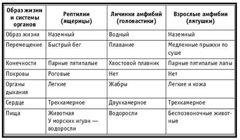 Ментальные характеристики мезоморфов: особенности внутреннего мира этого типа