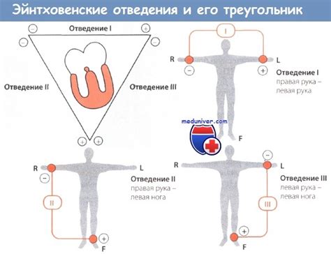 Методика и советы поиска и измерения точек где наизменене опорные ЭКГ отведения плеч и одной ноги, в треугольнике, созданном методом Эйнтховена, в целях определения точек электрической оси сердца (ЭОС)