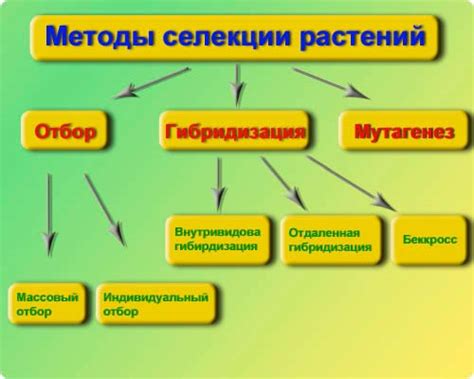 Методы, применяемые для смягчения устойчивых признаков рефрактерных функциональных расстройств