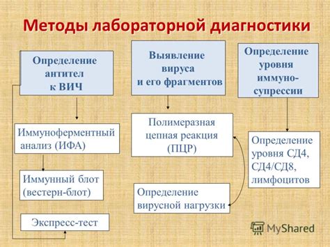 Методы диагностики вирусной инфекции, связанной с местом регистрации