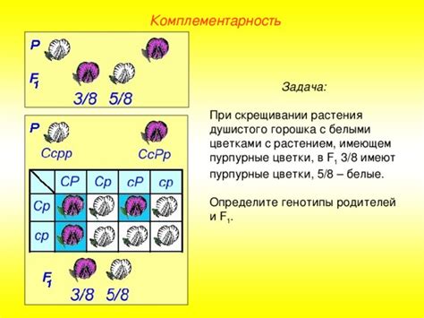 Методы отбора родителей при скрещивании генов в лесоводстве