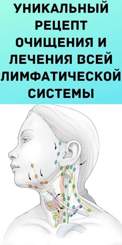 Методы очищения лимфатической системы для поддержания здоровья