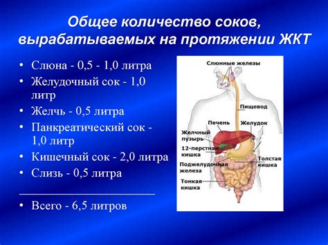 Методы смягчения интенсивных газообразных проявлений в органах пищеварения