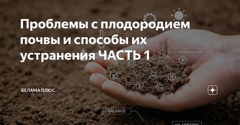 Методы физической обработки почвы для устранения опасных организмов