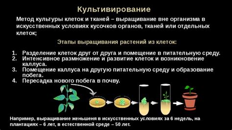 Метод 1: Применение ледяных кусочков