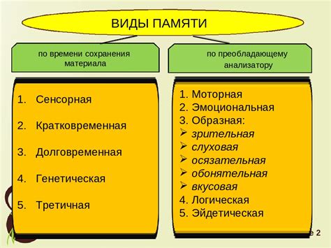 Механизмы памяти и их роль в сохранении прошлых событий