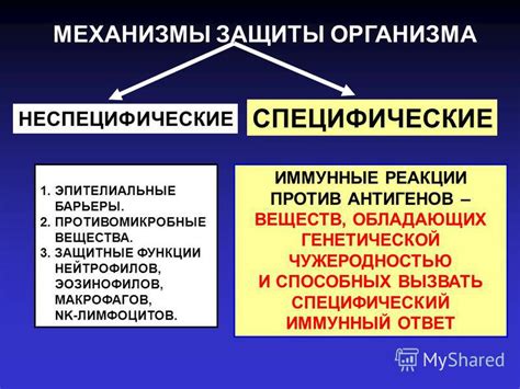 Механизмы функционирования организма в период голодовки