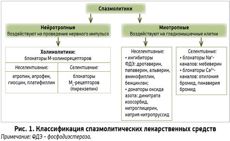 Механизм воздействия препаратов на организм