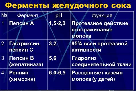 Миф №1: Ферменты желудочного сока переваривают всю пищу