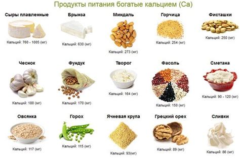 Молочные продукты: источник кальция для молодых птенцов сов
