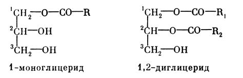 Моно и диглицериды жирных кислот: что это такое?