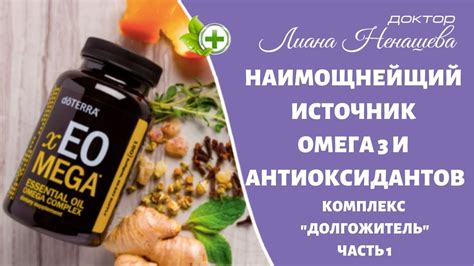 Мощный источник антиоксидантов