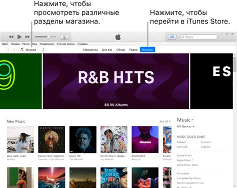 Набор доступного контента в iTunes Store