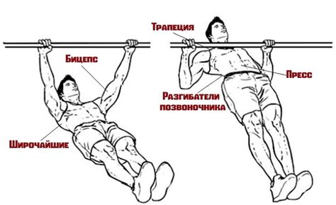 Набор упражнений для развития отрицательного фазы подтягиваний