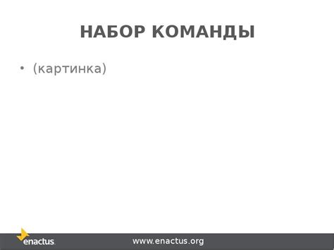 Набор участников и организация команды