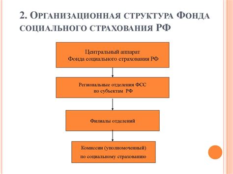 Назначение и цели сводной отчетности Фонда социального страхования