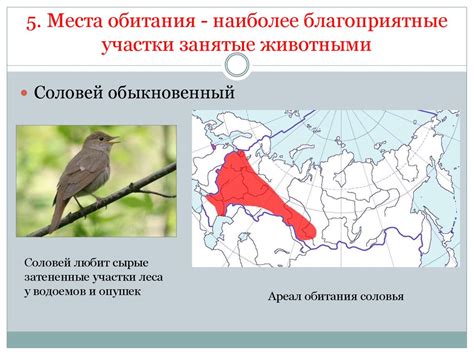 Наиболее вероятные места обитания шульги