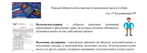 Налогоплательщик: определение и обязанности